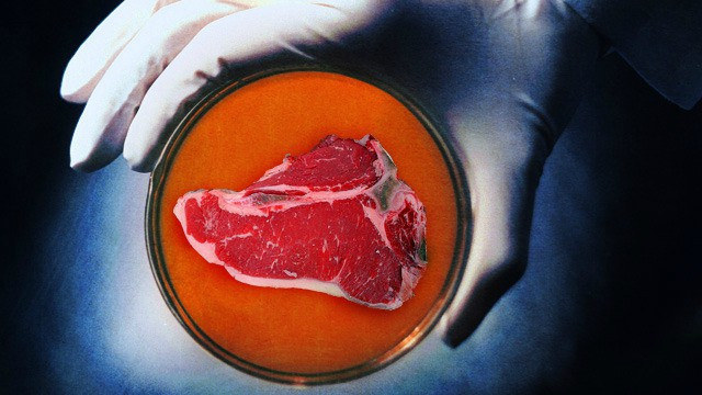 &iquest;Podremos comer carne sin matar animales?