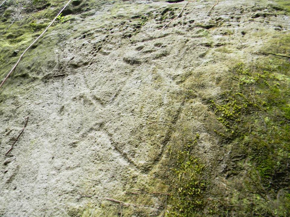 Excursionistas hallan petroglifos de m&aacute;s de 1.000 a&ntilde;os en una isla del Caribe: