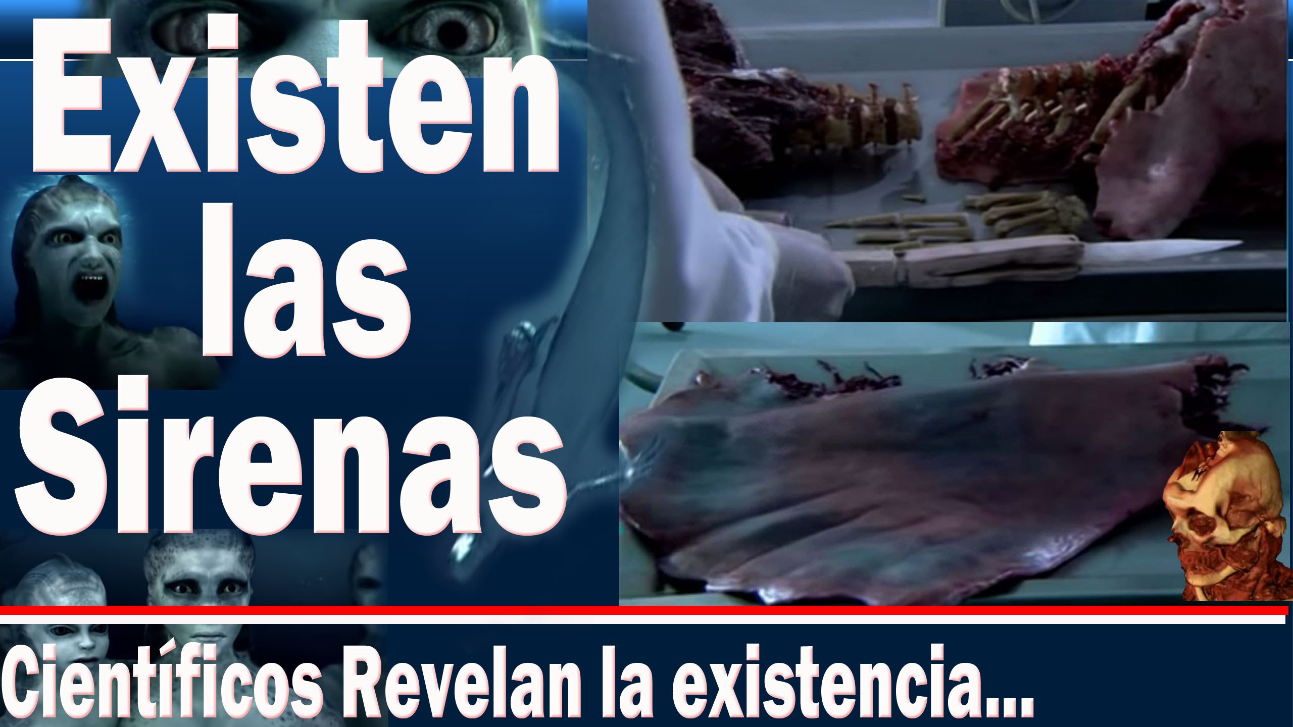 La leyenda de la existencia de sirenas: