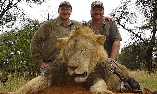 Killer of Cecil the lion was dentist from Minnesota, claim Zimbabwe officials