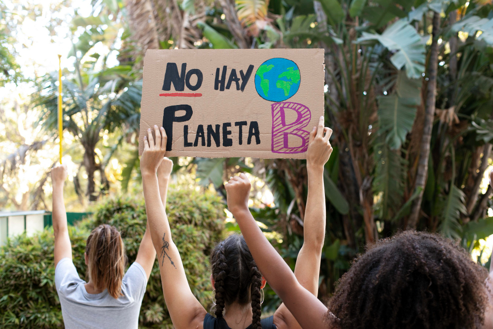 &iquest;Qu&eacute; puedes hacer t&uacute;?: Beeok propone 7 acciones para enfrentar el cambio clim&aacute;tico