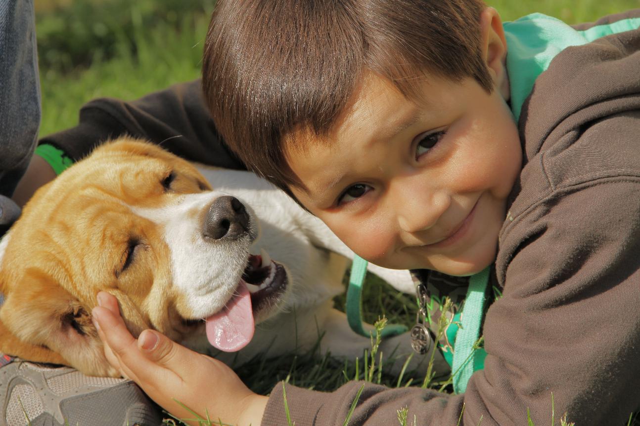 Un ni&ntilde;o de 6 a&ntilde;os sorprende con su respuesta de por qu&eacute; los perros viven menos que las personas