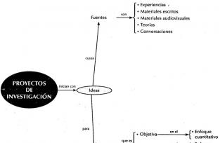 Idea de investigaci&oacute;n