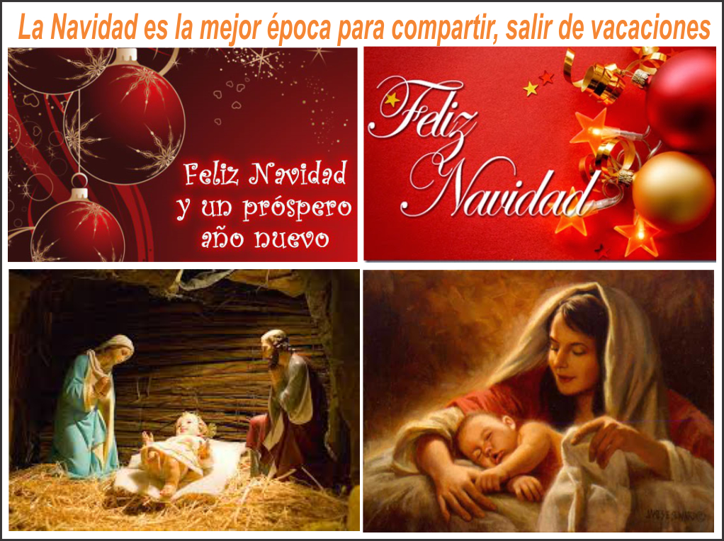  &iquest;Qu&eacute; hacer en Navidad si usted est&aacute; solo?