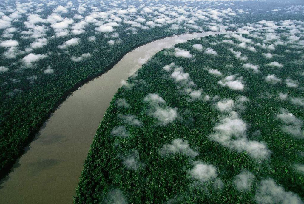 Adolescente con discapacidad cognitiva sobrevivi&oacute; 28 d&iacute;as perdido en la selva del Amazonas