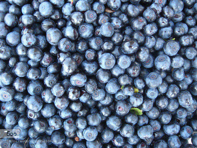 Eating these foods may slow brain aging by 7.5 years