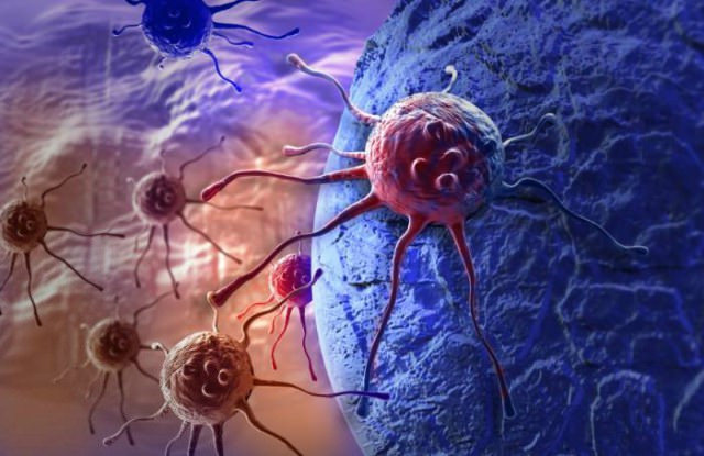 Los c&aacute;nceres contagiosos no son tan raros como se cre&iacute;a