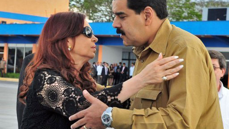 Como se capturan puercos salvajes