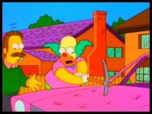 Como Ned Flanders: le dispararon en el pecho y lo salv&oacute; la Biblia