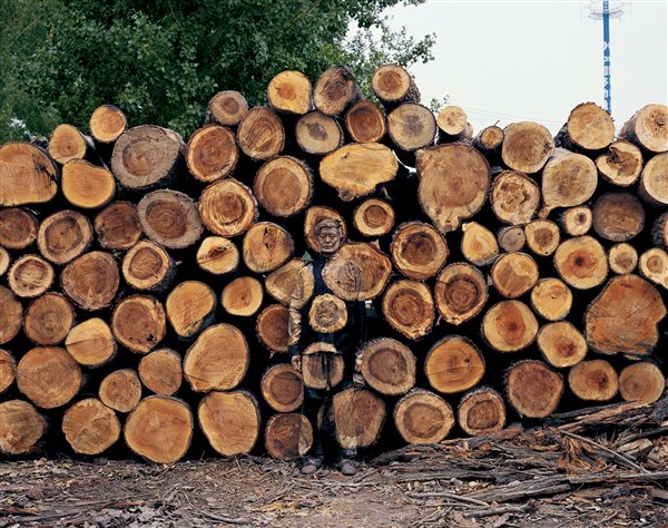 CHINA: CAMUFLAJE, POR LIU BOLIN