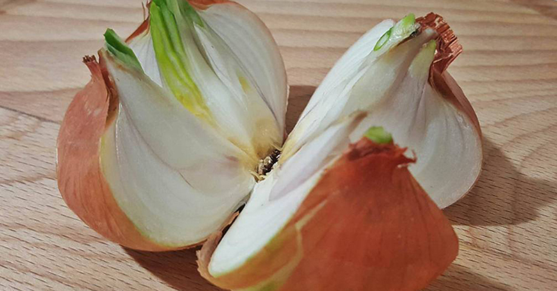 Ella cort&oacute; una cebolla en 4 trozos. &iexcl;Te sorprender&aacute; el por qu&eacute;!