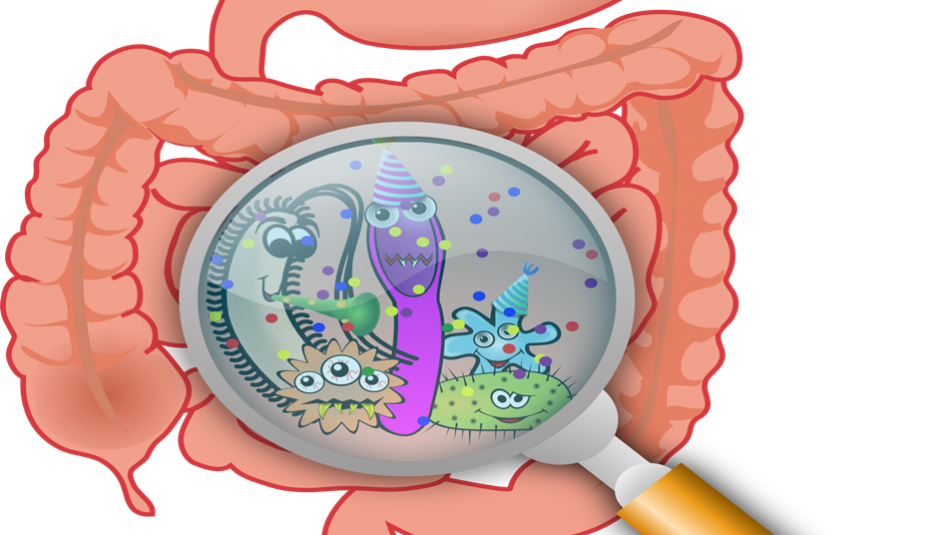 C&oacute;mo curar una gastroenteritis con alimentos que probablemente ya tiene en su casa