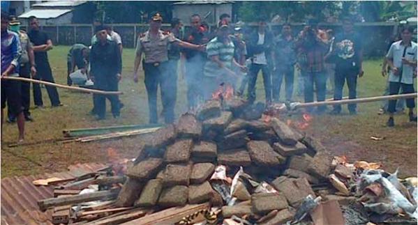 Polic&iacute;a quem&oacute; 3 toneladas de marihuana y todo el pueblo se drog&oacute;