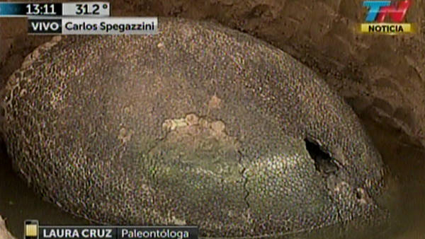  Qu&eacute; es el "huevo" gigante que encontraron en Ezeiza: