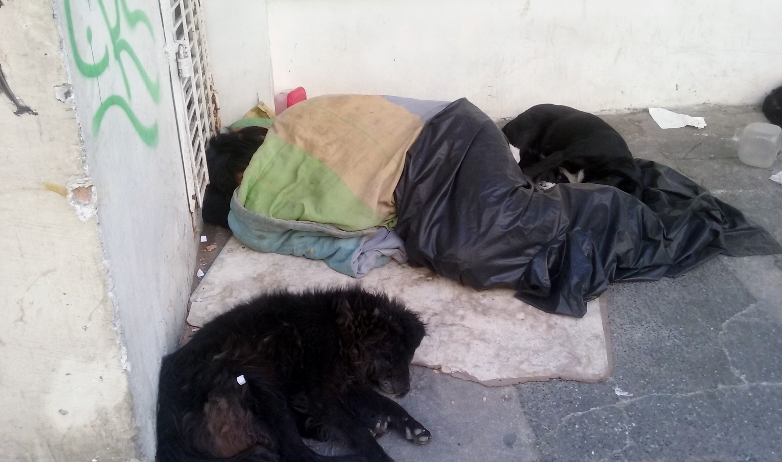 Indigentes: !!Casi humanos!!!