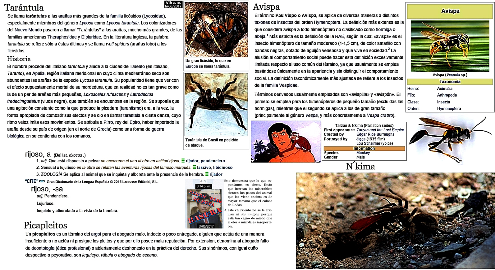 La avispa y la tar&aacute;ntula