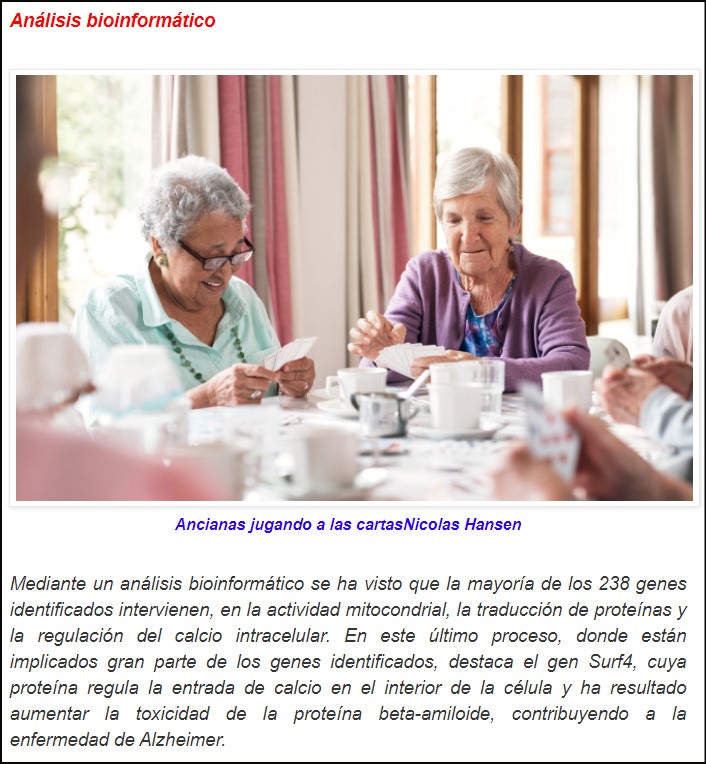 Alzheimer, la investigaci&oacute;n prosigue: se identifican los genes de la prote&iacute;na que lo causa