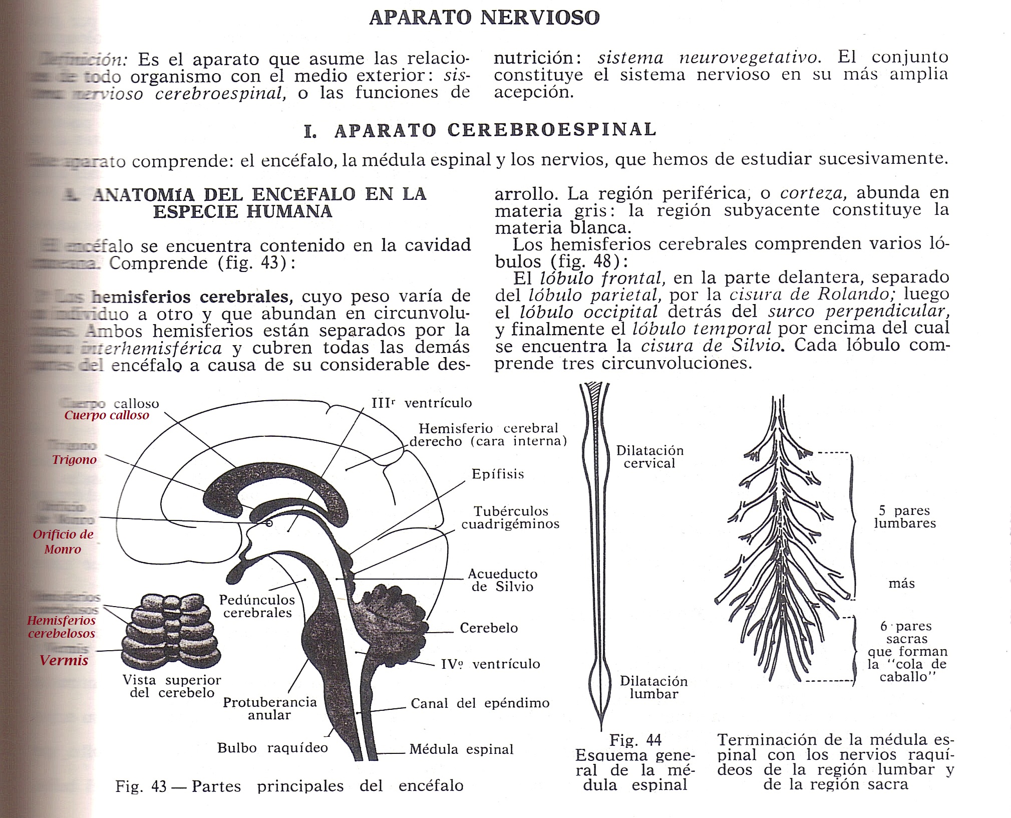 &iexcl;&iexcl;APESTAN A MARIGUANA!!