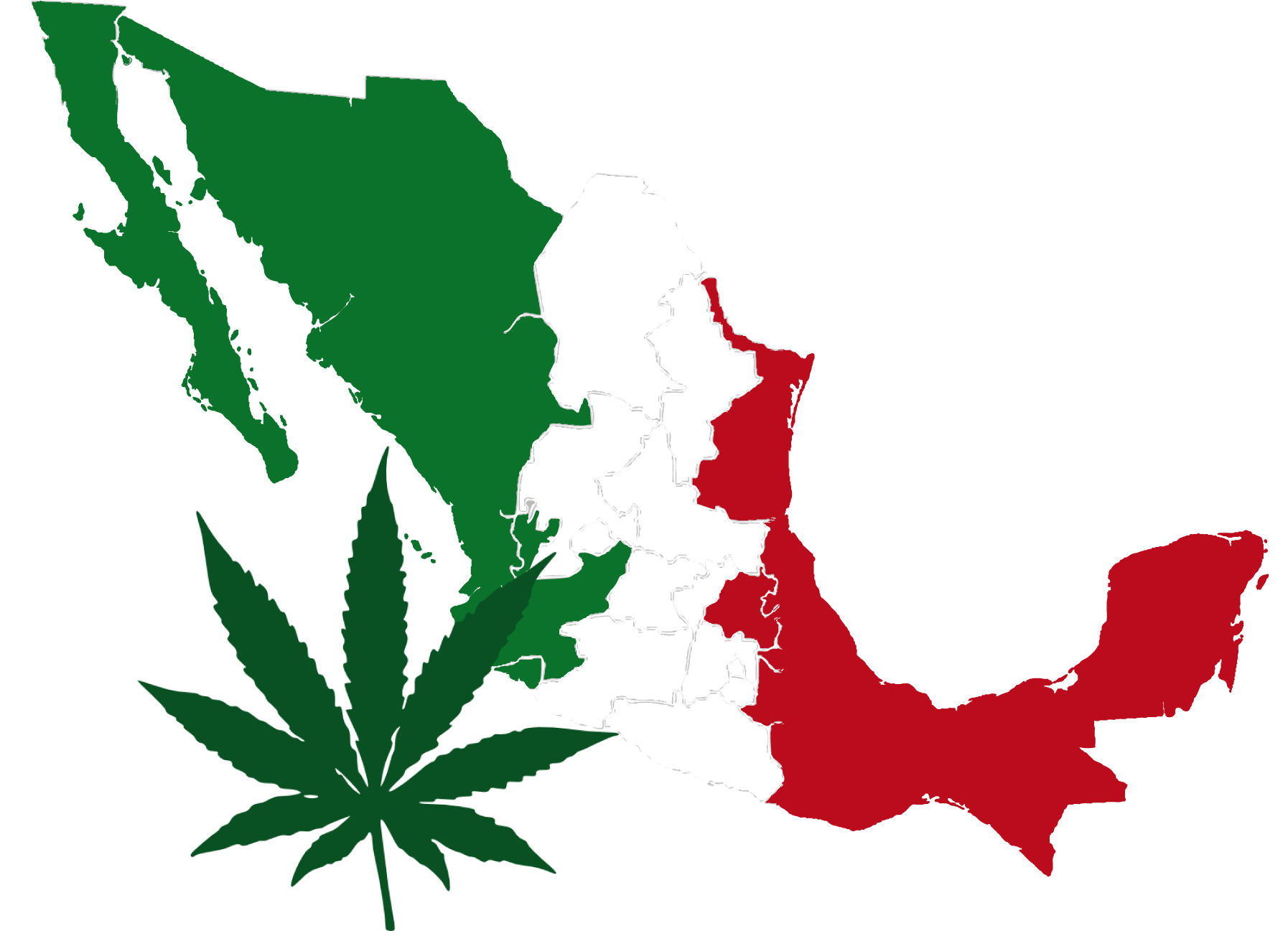 En el 2015 la marihuana ser&aacute; legal en todo M&eacute;xico.