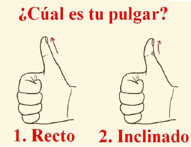 &iexcl;La personalidad oculta en tu pulgar! &iquest;Qu&eacute; dice tu pulgar sobre ti y c&oacute;mo se te da expresarte?