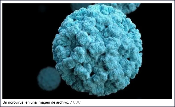  Norovirus: "Gripe estomacal" o "virus estomacal", altamente contagioso