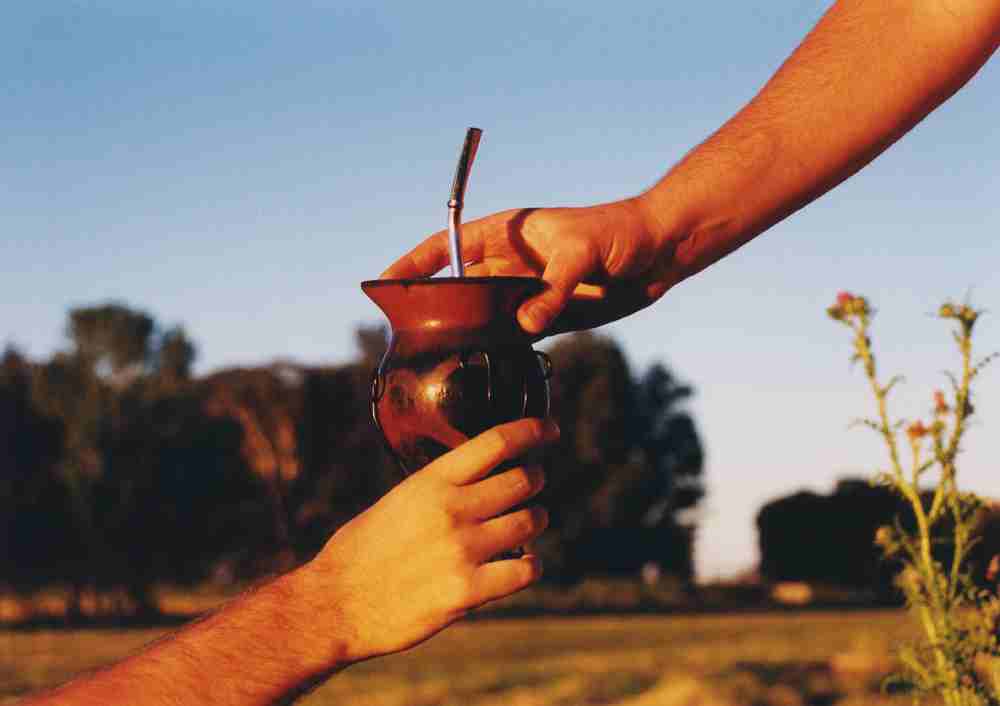 SALUD: LOS BENEFICIOS DEL MATE