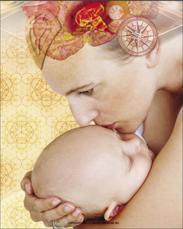 Tener hijos hace a las mujeres m&aacute;s inteligentes