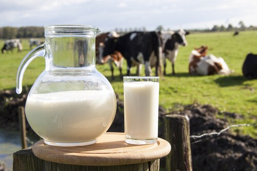 Cient&iacute;fico de Harvard suplica que paremos el consumo de leche