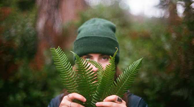 Hiervas y plantas, para la lucha contra los triglic&eacute;ridos altos.