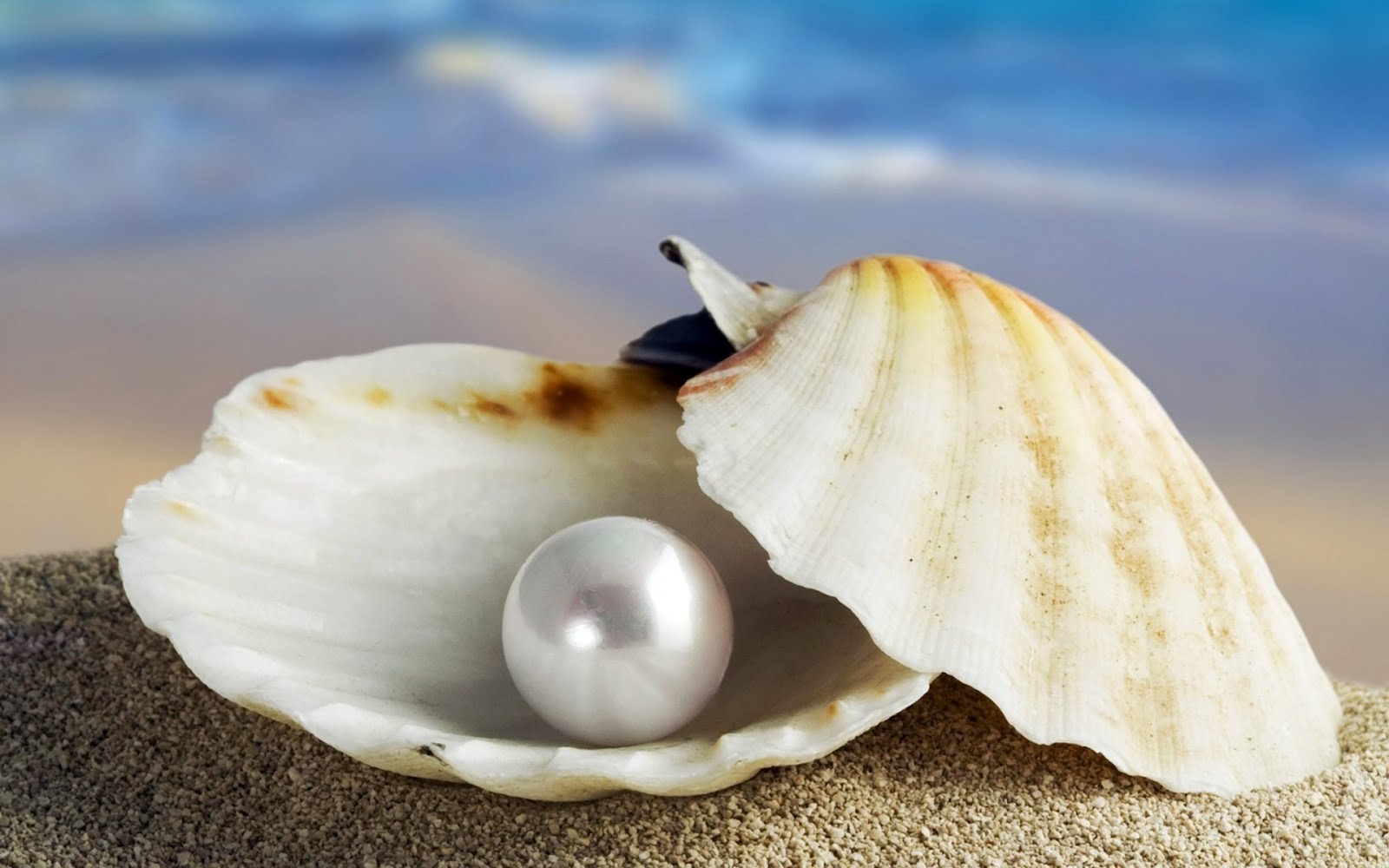 &iquest;Sabes c&oacute;mo se forma una preciosa perla dentro de una ostra?