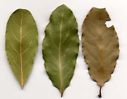 Quema esta hoja y desh&aacute;cete de la fatiga y la tensi&oacute;n de inmediato!