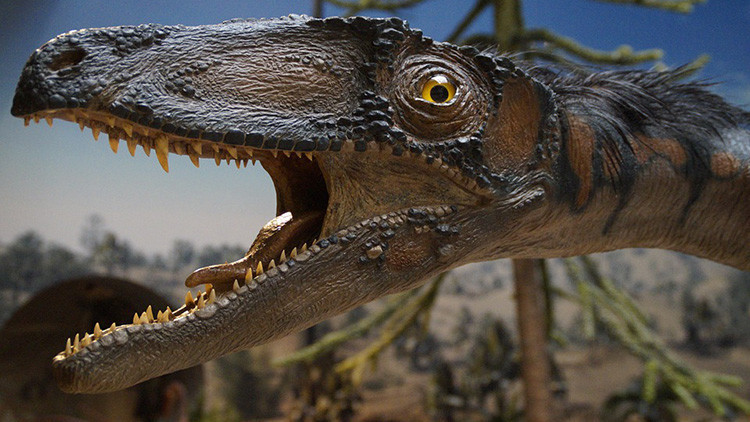 Descubren en la India huellas de dinosaurios de 150 millones de a&ntilde;os: