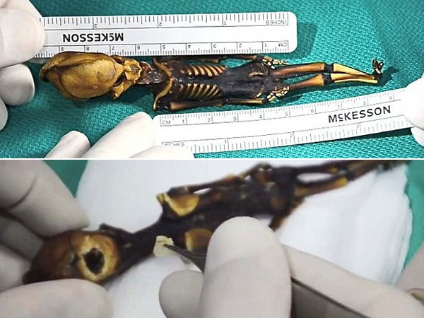 Esqueleto en Chile: &iquest;humano o extraterrestre?