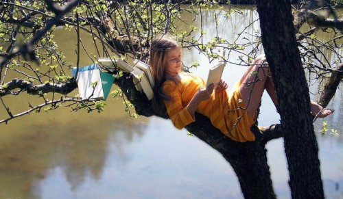5 Recomendaciones para iniciarte como lector