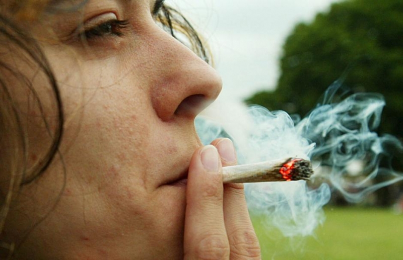 LO QUE NO SABIAS DE LA MARIHUANA!