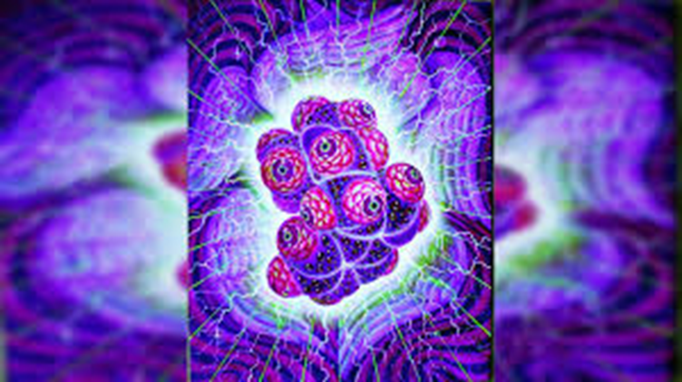 DMT: La misteriosa mol&eacute;cula del esp&iacute;ritu del alma: