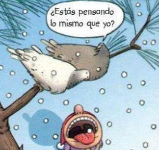 Chiste palomo