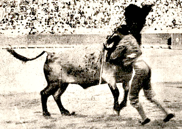 EFEM&Eacute;RIDES taurinas  29 junio