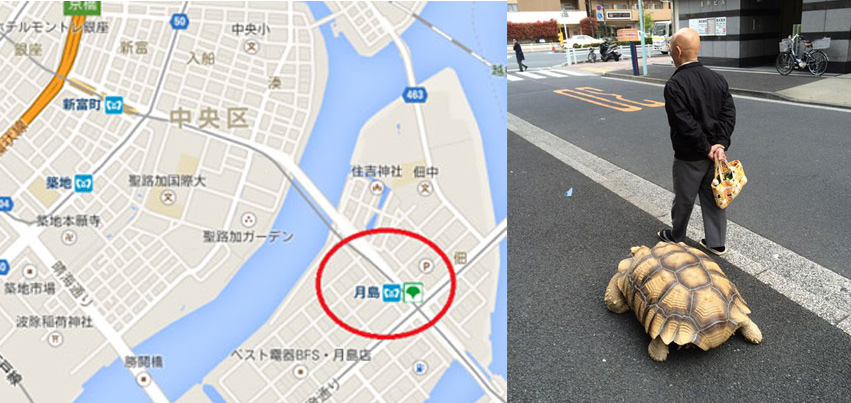 WORLD   S MOST PATIENT PET OWNER