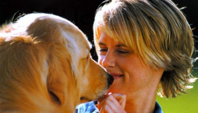 Afirman que el v&iacute;nculo entre un perro y el due&ntilde;o es comparable con el de madre e hijo