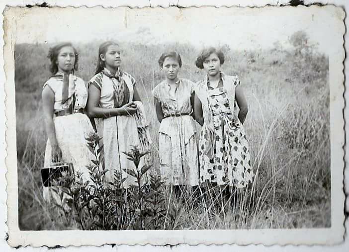 Viajaron de Noche -en memoria de Mar&iacute;a Helena Campos de Lagos-