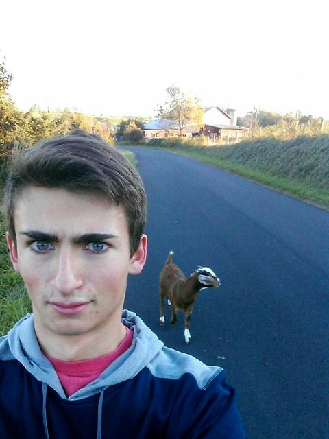 Guy posts innocent photo, Internet becomes obsessed with his eyebrows