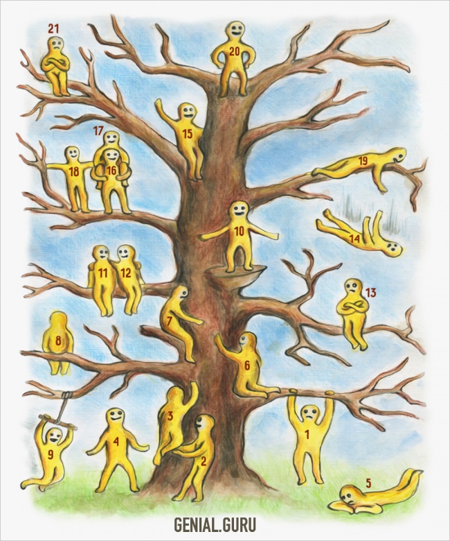 &iquest;En qu&eacute; parte del &aacute;rbol est&aacute;s?
