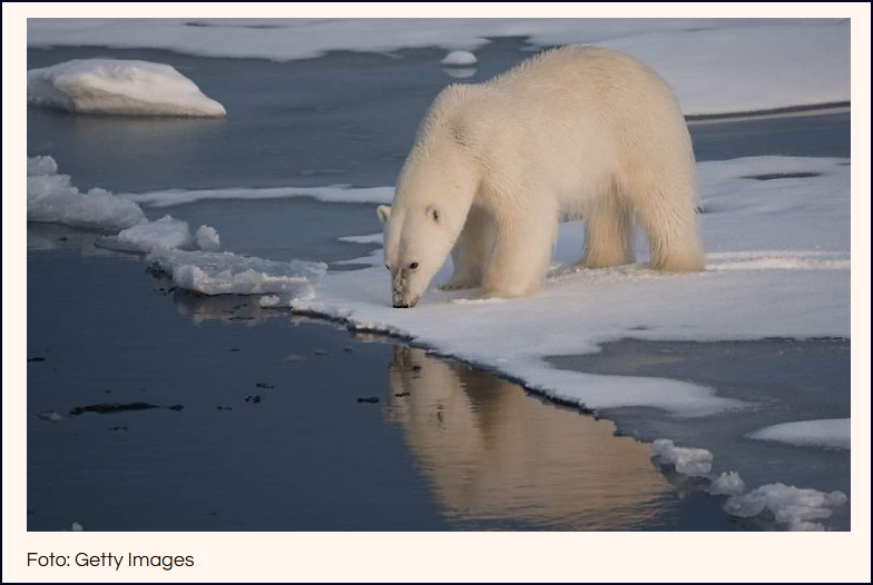  El &Aacute;rtico se derrite y se quedar&aacute; sin hielo en menos de tres a&ntilde;os