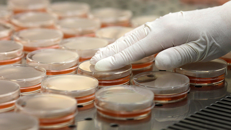 Plaga inminente?: El aumento de las 'superbacterias' indias puede "impactar en todo el mundo":