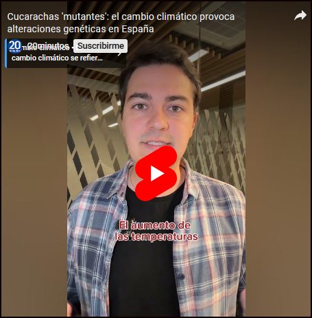  Cucarachas mutantes: Una m&aacute;s de las preocupantes consecuencias del Cambio Clim&aacute;tico