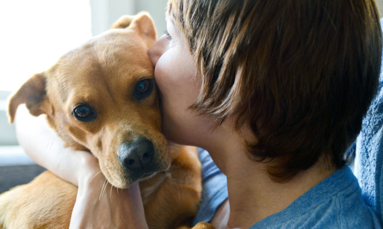 Rare human lung disease found in dogs