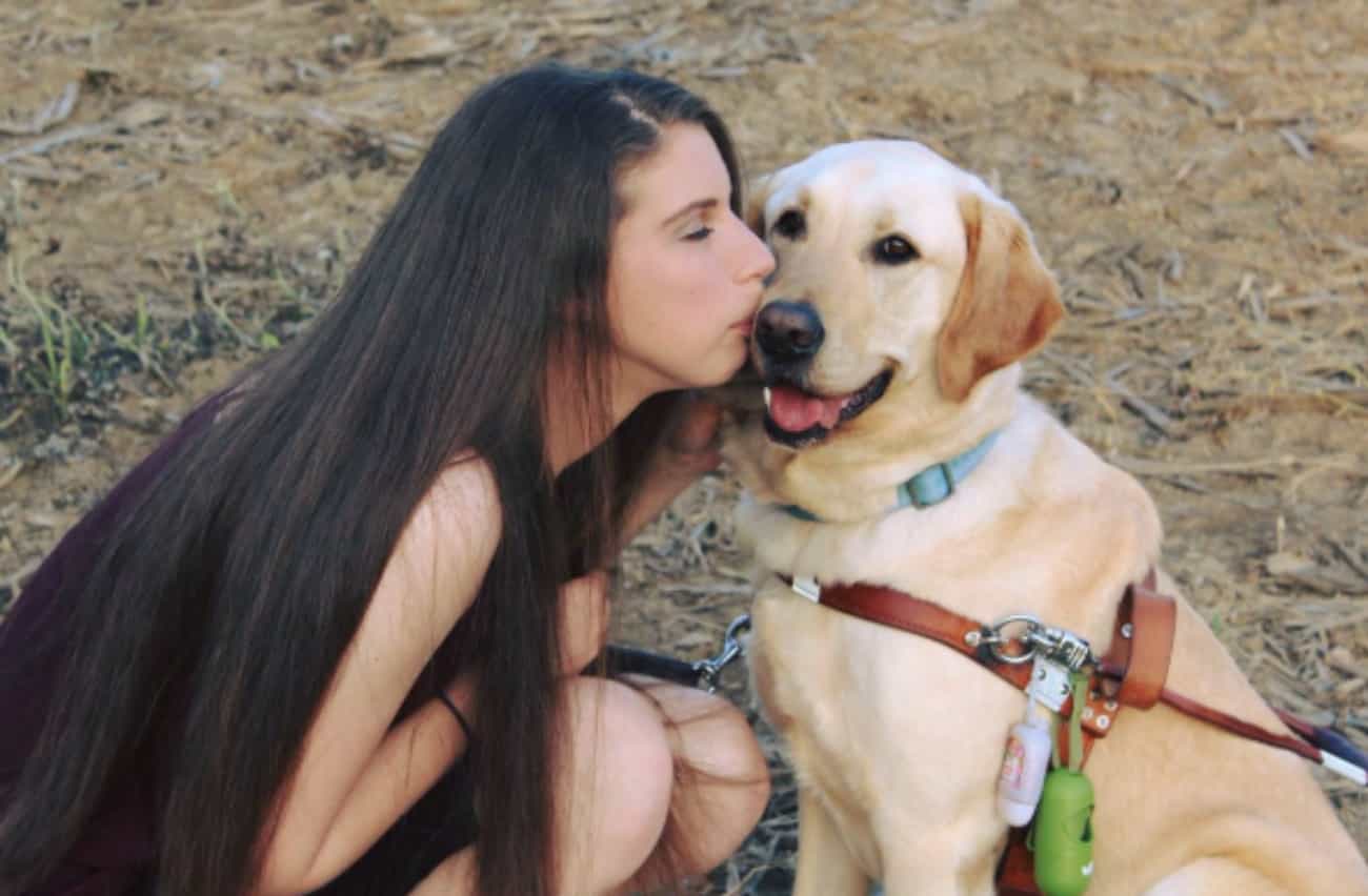 Perro de asistencia enga&ntilde;a a su due&ntilde;a y la lleva a la tienda de golosinas