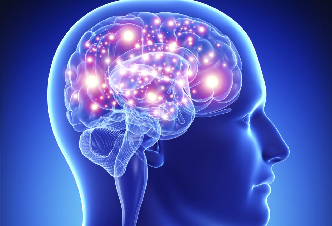 Don't damage your brain! We'll tell you how to take care of him