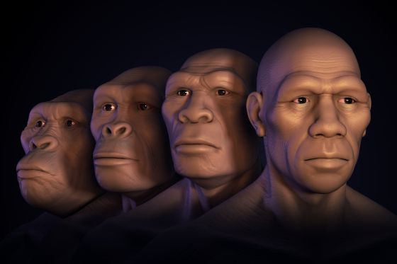 El rostro humano posee un patr&oacute;n &uacute;nico seg&uacute;n un estudio en Espa&ntilde;a